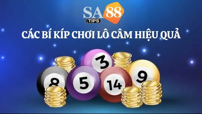 Các bí kíp giúp chơi hiệu quả trong lô câm là gì?