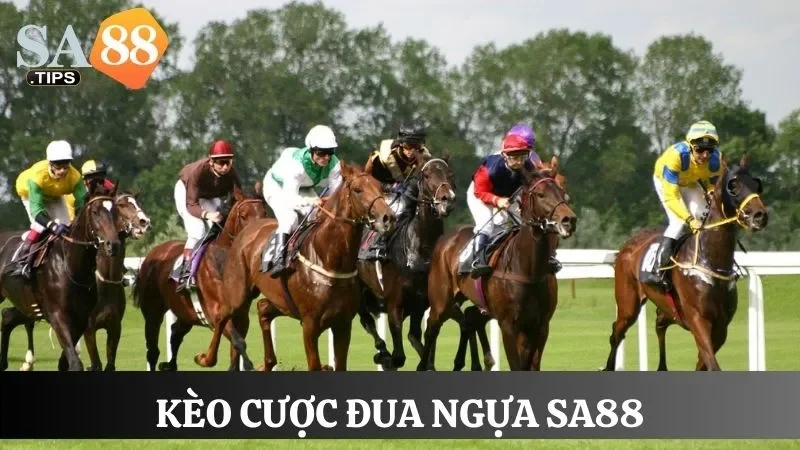 Các loại kèo cược đua ngựa online phổ biến