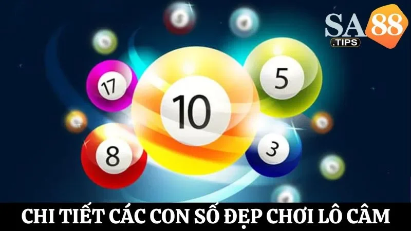 Tìm hiểu chi tiết về các con số khi chơi lô câm